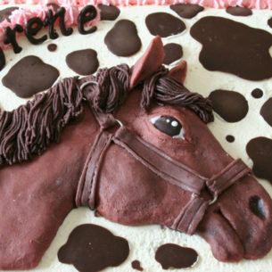 "Cavallo" per compleanno