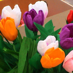 Banchetto tulipani alla festa della scuola 06