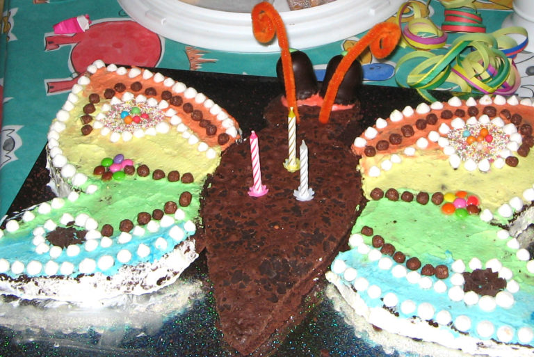 Torta farfalla 2